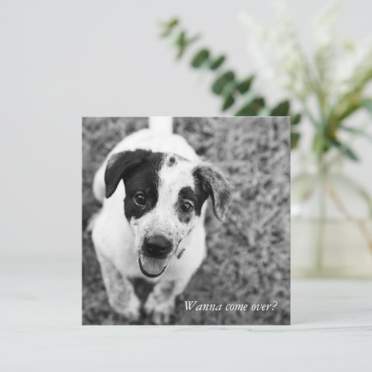 Willst du rüberkommen? einladung (Stehend Vorderseite)