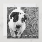 Willst du rüberkommen? einladung (Vorderseite)