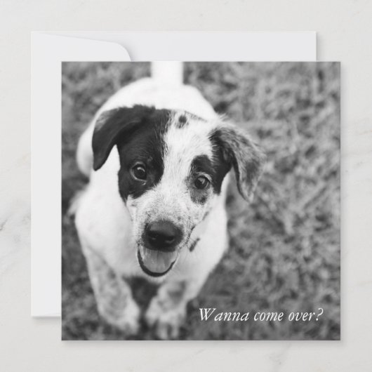 Willst du rüberkommen? einladung (Vorderseite)