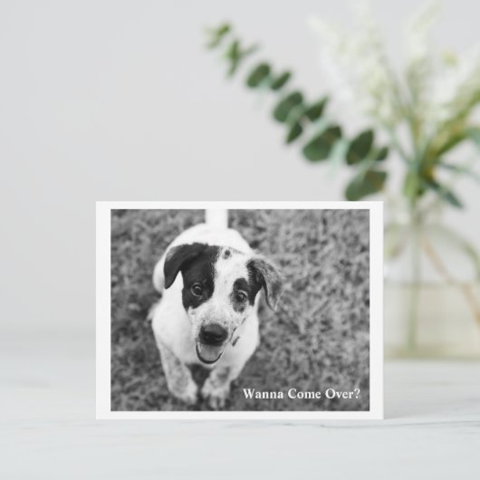 Willst du vorbeikommen? postkarte (Stehend Vorderseite)