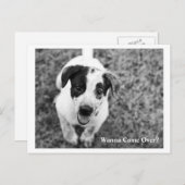 Willst du vorbeikommen? postkarte (Vorne/Hinten)