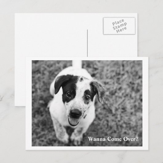 Willst du vorbeikommen? postkarte (Vorne/Hinten)