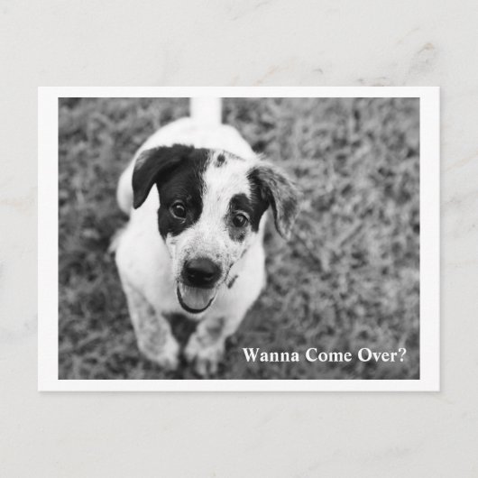 Willst du vorbeikommen? postkarte (Vorderseite)