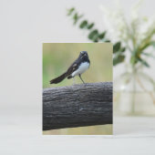 WILLWAGTAIL AUF FENCE QUEENSLAND AUSTRALIA POSTKARTE (Stehend Vorderseite)