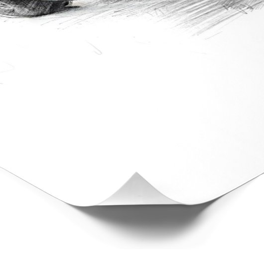 Willy Mairesse Poster (Ecke)