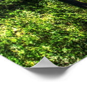 Willy und Charger Poster (Ecke)