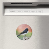 Willy Wagtail - Australian Bird Art Magnet (In Situ (Geschirrspüler))
