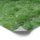 Willys MB Jeep Poster (Ecke)