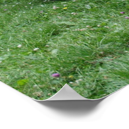 Willys MB Jeep Poster (Ecke)