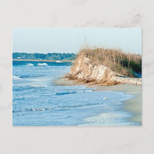 Wilmington NC Postkarte (Vorderseite)