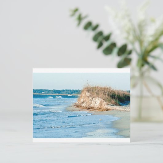 Wilmington NC Postkarte (Stehend Vorderseite)