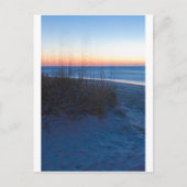 Wilmington NC Postkarte (Vorderseite)