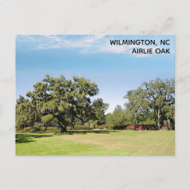 Wilmington North Carolina Airlie Oak Tree Postkarte