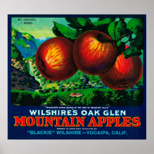 Wilshire's Oak Glen Apple Crate Label Poster (Vorne)