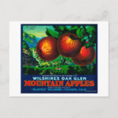 Wilshire's Oak Glen Apple Crate Label Postkarte (Vorderseite)