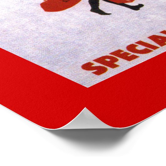 Wilson Airways ~ Afrika Poster (Ecke)