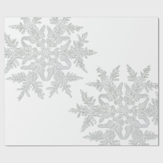 WILSON BENTLEY SNOWFLAKE AUF WEISS GESCHENKPAPIER (Flach)