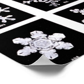 Wilson Bentley Snowflakes Poster (Ecke)