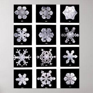 Wilson Bentley Snowflakes Poster