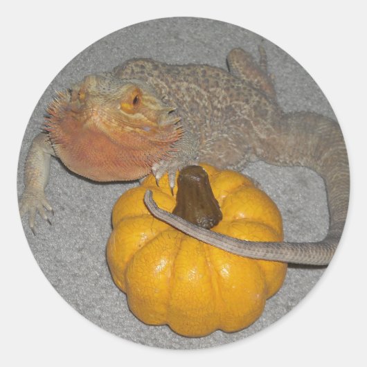 Wilson der Bartagame Runder Aufkleber (Vorderseite)
