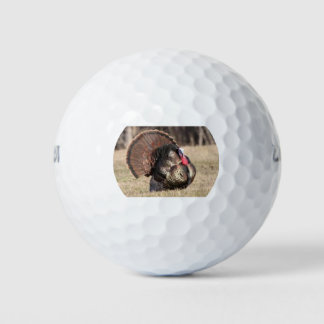 Wilson Golf Balls mit Tom Turkey Golfball