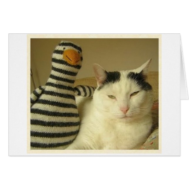 WILSoN & Pengy #1 (Vorderseite (Horizontal))