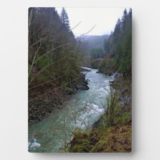 Wilson River Fotoplatte (Vorderseite)