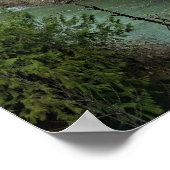 Wilson River, Oregon Poster (Ecke)