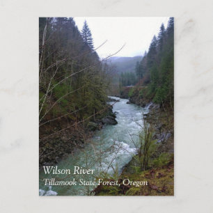 Wilson River Postkarte