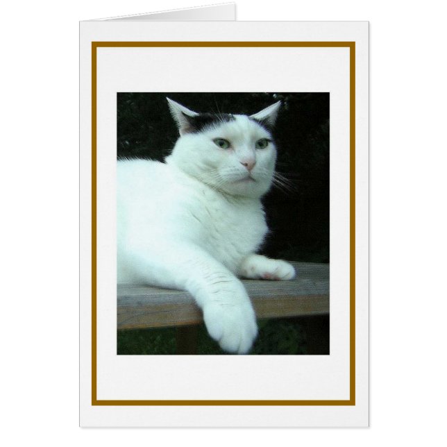WiLSoN Second Thought Card (Vorne)