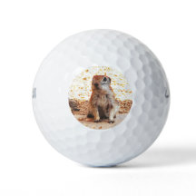 Wilson Ultra "Peanut" Ground Squirrel Golf Balls