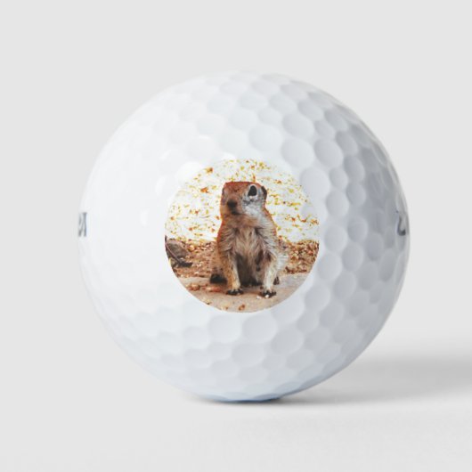 Wilson Ultra "Peanut" Ground Squirrel Golf Balls Golfball (Vorderseite)