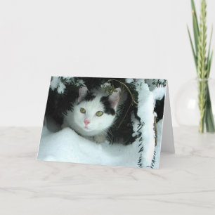 WiLSoN XMaS-Grußkarte Feiertagskarte