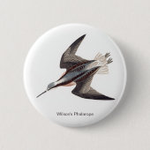 Wilsons Phalarope von John James Audubon, Button (Vorderseite)
