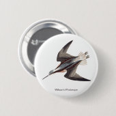 Wilsons Phalarope von John James Audubon, Button (Vorne & Hinten)