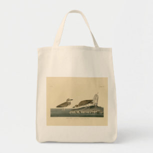 Wilson's Plover von Audubons Vögeln von Amerika Tragetasche
