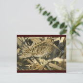 Wilson's Snipe Postcard Postkarte (Stehend Vorderseite)