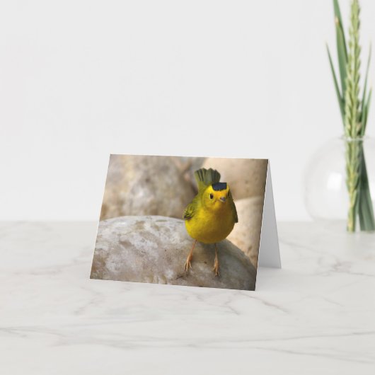 Wilsons Trällerer - Joe Sweeney - Karte (Vorderseite)