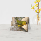 Wilsons Trällerer - Joe Sweeney - Karte (Gelbe Blume)