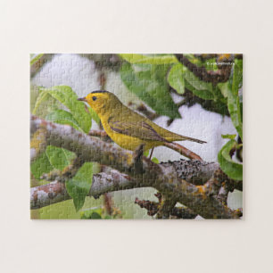 Wilson's Warbler im Birnenbaum Puzzle