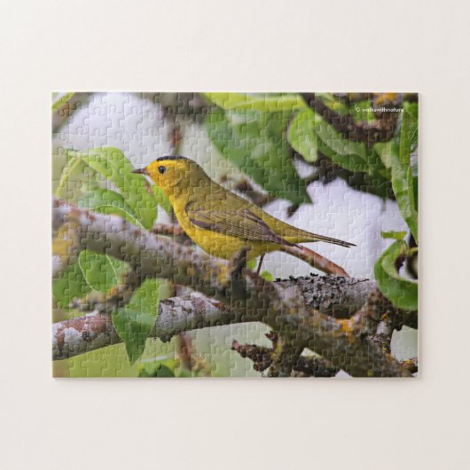 Wilson's Warbler im Birnenbaum Puzzle (Horizontal)