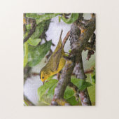 Wilson's Warbler im Birnenbaum Puzzle (Vertikal)