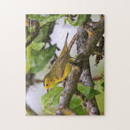 Wilson's Warbler im Birnenbaum Puzzle