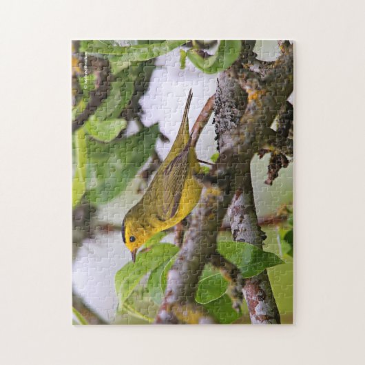 Wilson's Warbler im Birnenbaum Puzzle (Vertikal)