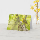 Wilsons Warbler in Spring Tree Blank Note Card Karte (Gelbe Blume)