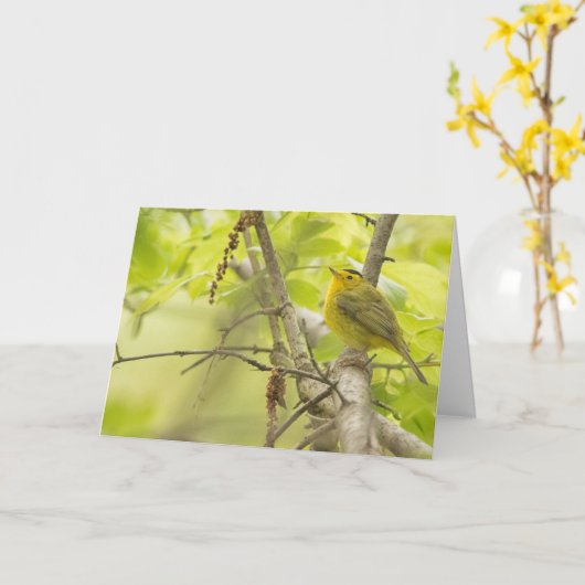 Wilsons Warbler in Spring Tree Blank Note Card Karte (Gelbe Blume)