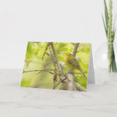 Wilsons Warbler in Spring Tree Blank Note Card Karte (Vorderseite)