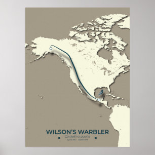 Wilsons Warbler-Migrationskarte - Minimalistisch Poster