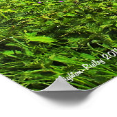 Wiltshire Farm Scene Print Poster (Ecke)