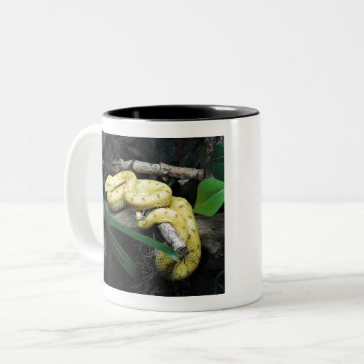 Wimper-Viper Zweifarbige Tasse (Vorderseite Links)